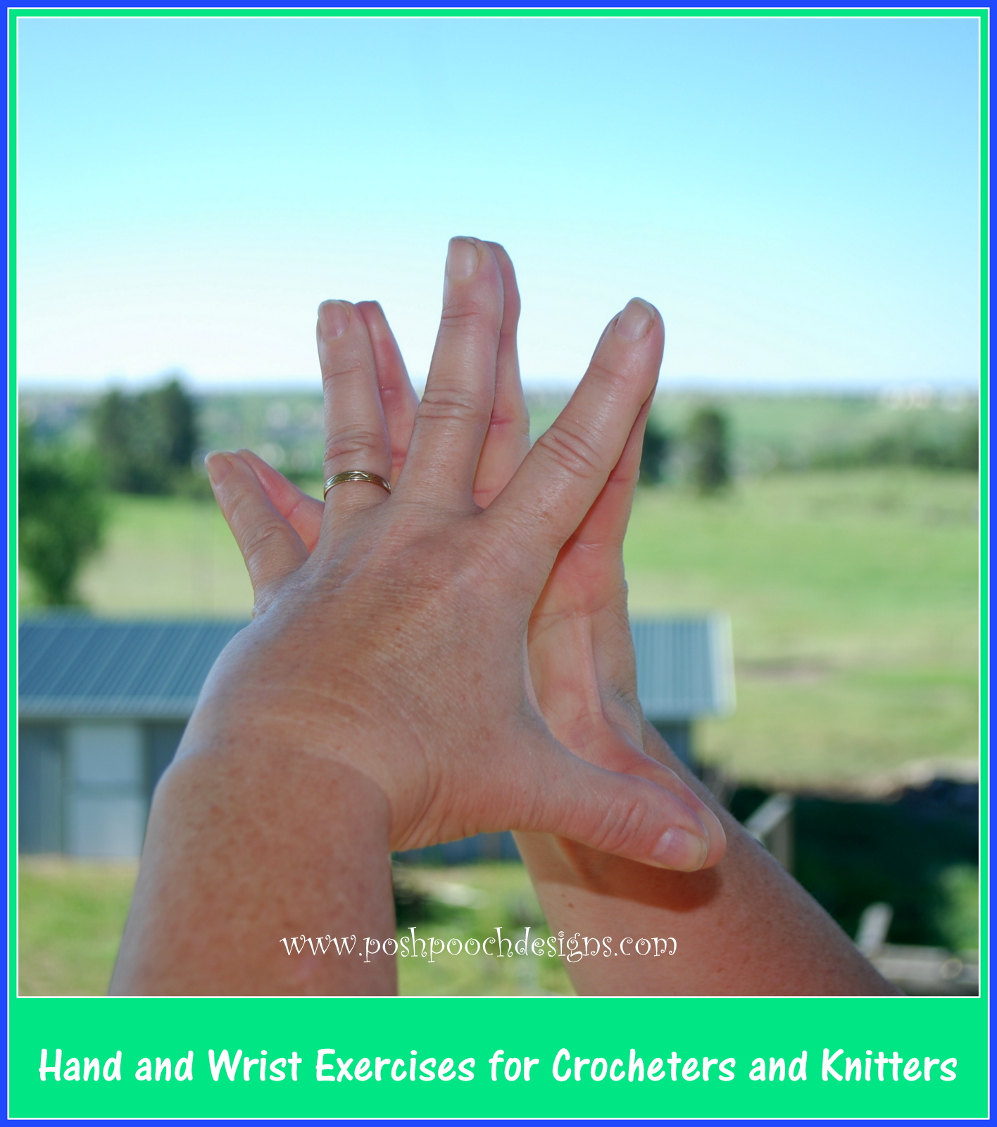 Posh Pooch Designs Hand And Wrist Exercises For Crocheters and