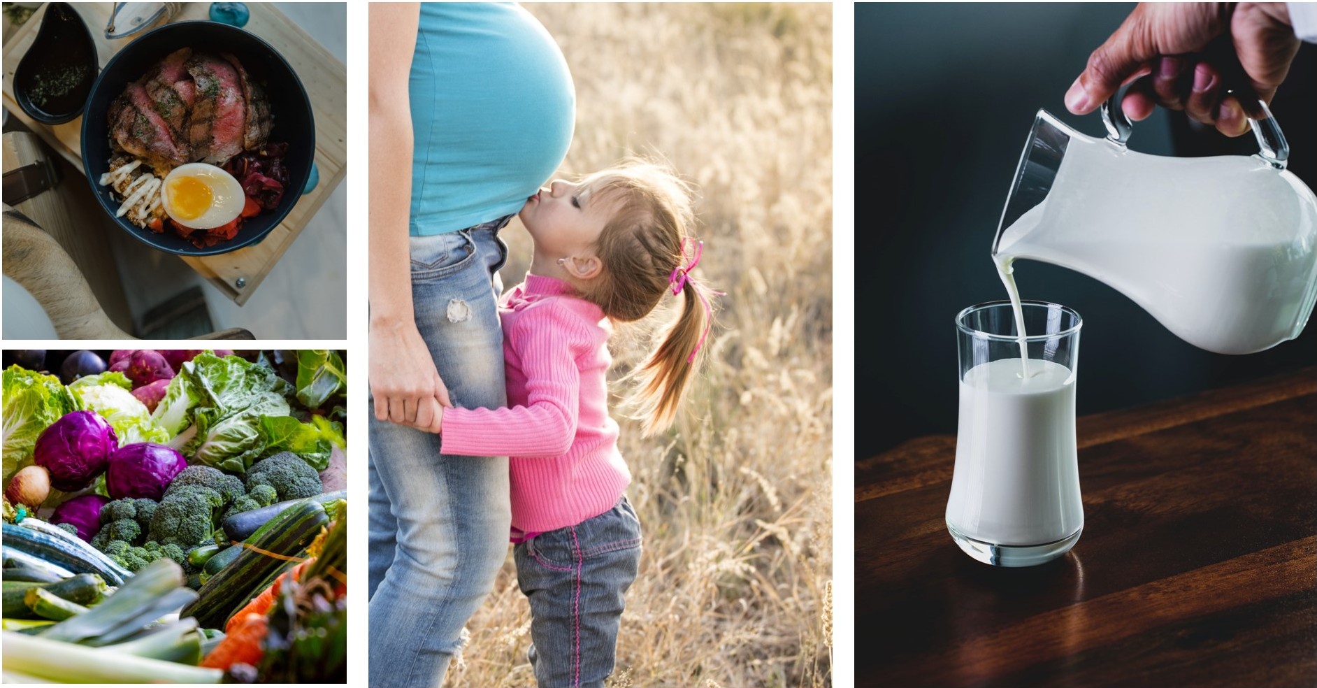 Nutrients During Pregnancy in Hindi,Nutrients During Pregnancy in Hindi,गर्भावस्था के पौष्टिक आहार,प्रेगनेंसी में क्या खाएं 