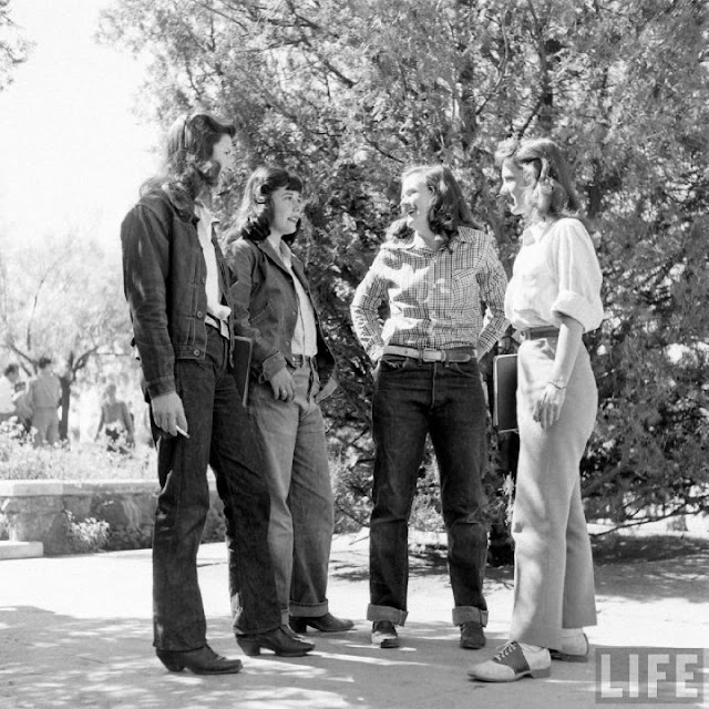 Photo of the Day Rivet Head