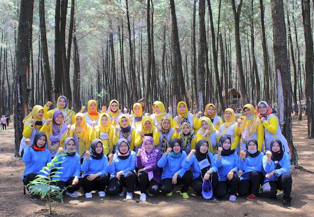 Hutan Pinus Cigore Subang