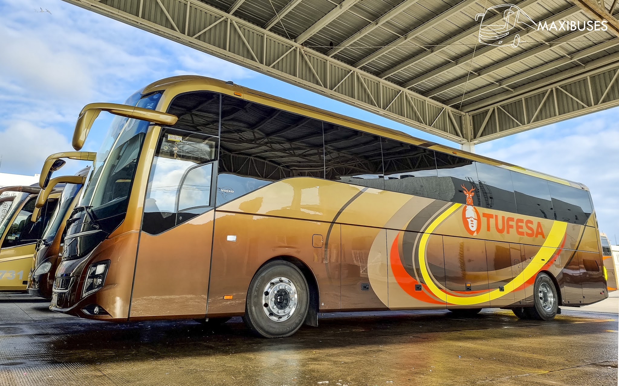 MAXIBUSES: TUFESA - NUEVA UNIDAD