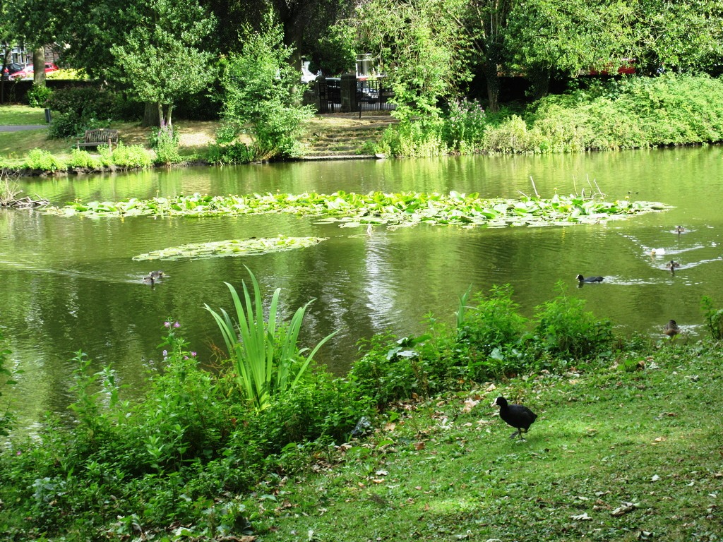 Liberal England Whitworth Park, Darley Dale
