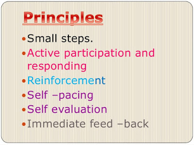 Principles of Programmed Instruction