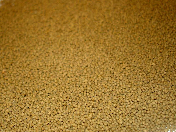 fish feed, supplementary fish feed, supplementary feed of fish