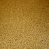 Supplementary Fish Feed