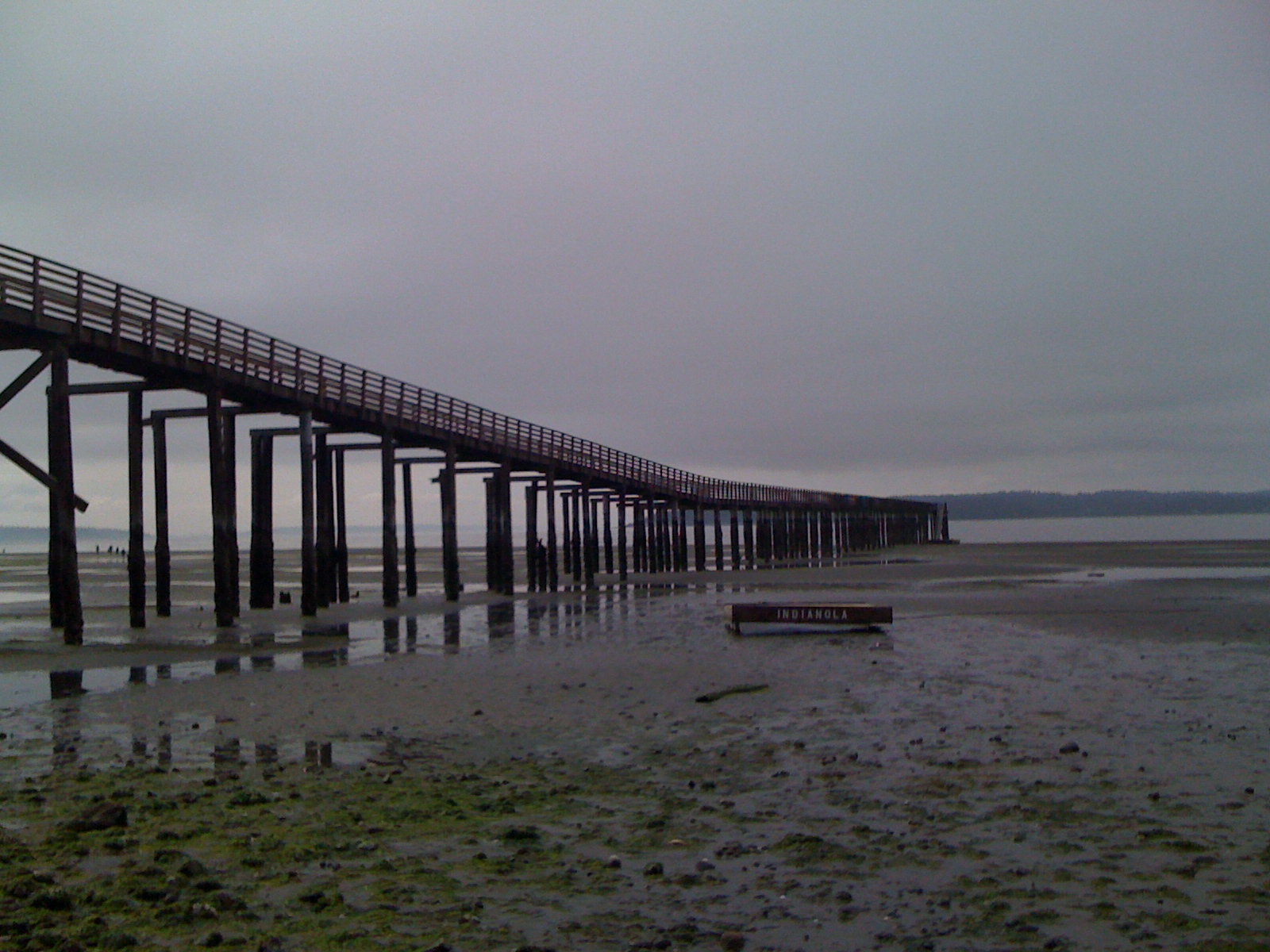 [almost] married in america Day 5456 Indianola, Washington