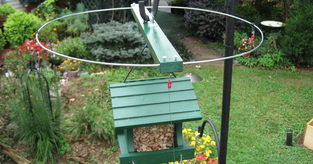 Magic Halo For Bird Feeders: Deter House Sparrows from your hanging