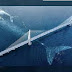 Is This a Photo of Two Whales Beneath the Samuel De Champlain Bridge?