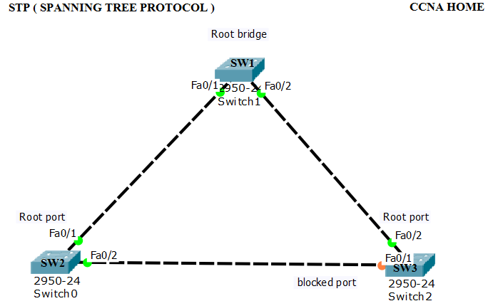Span сети. Протокол связующего дерева STP. Связующее дерево STP. Протокол покрывающего дерева STP. STP протокол пакеты.