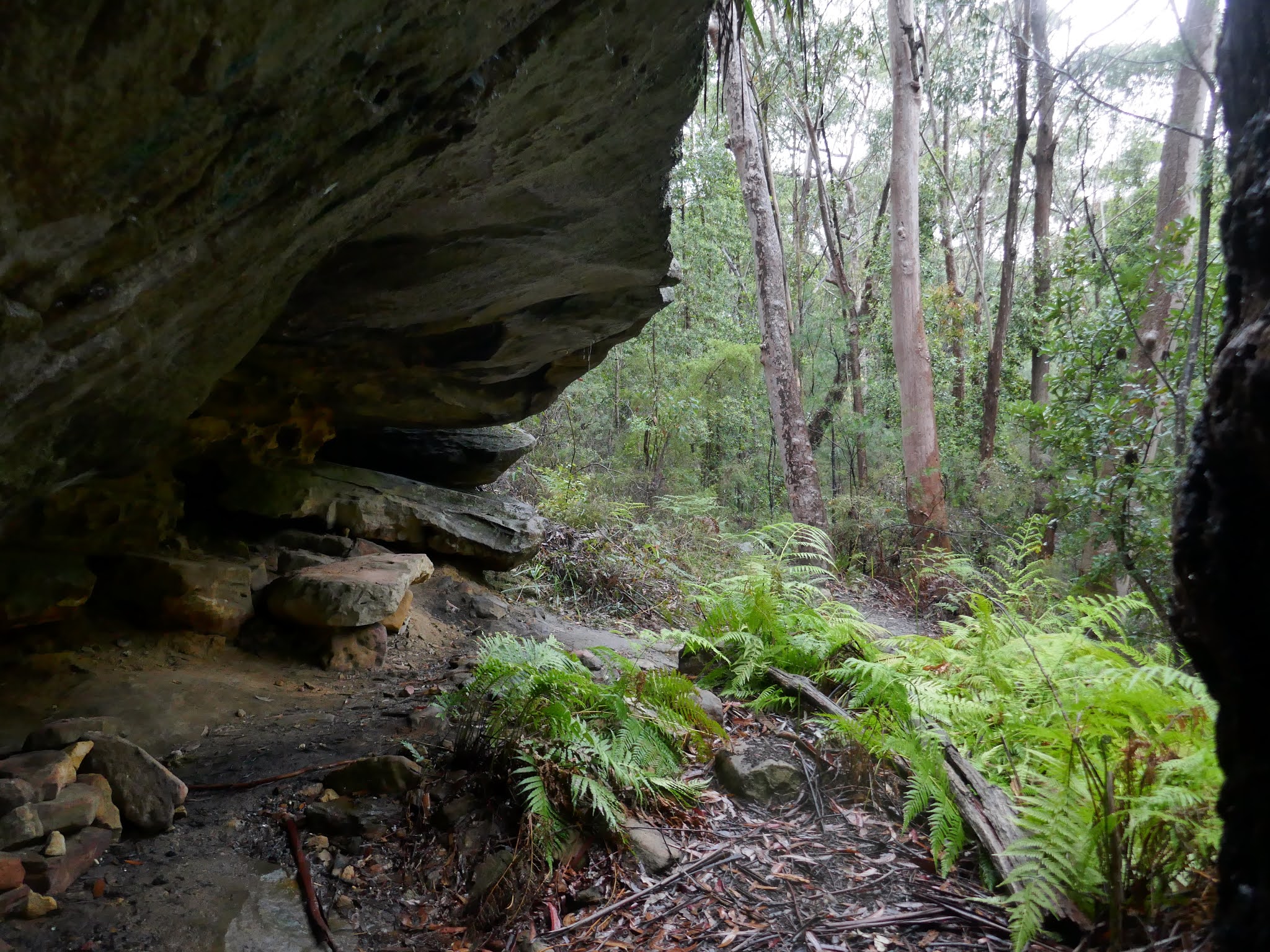 All The Gear But No Idea Sassafras Gully & Pippas Pass via the Victory Track