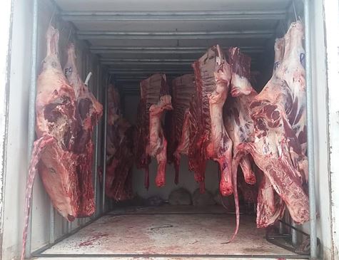 PRF apreende uma tonelada de carne sem refrigeração no Agreste do Estado