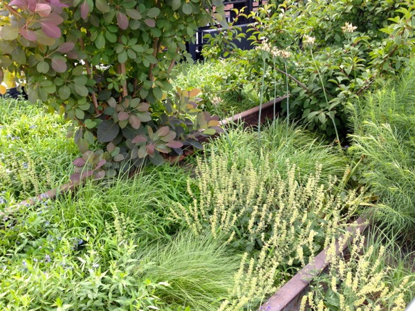 Now This Life - High Line - New York City - Planted Rails