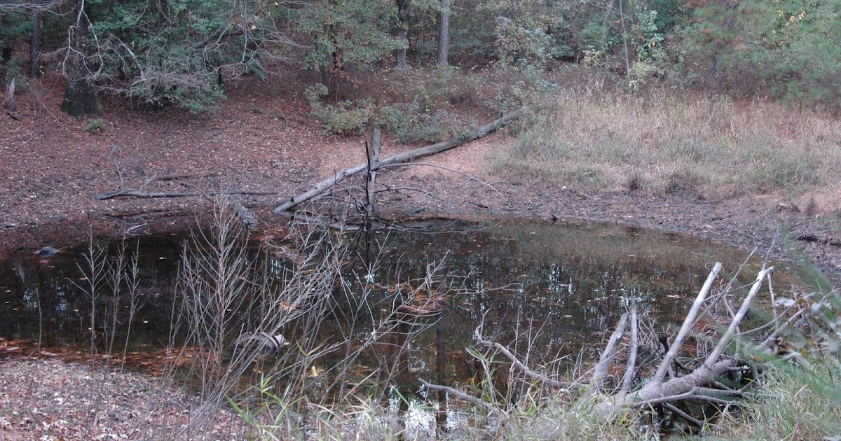 Dispatches from the LPOP 'Devil's Soup Bowl' left Singleton with many