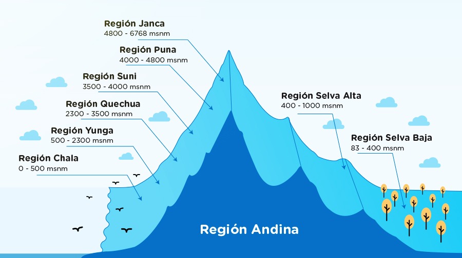 regiones naturales