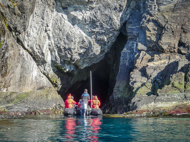 Victor Bloomfield Photo Hercules Bay, South Cliffs, Caves