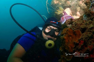 Wisata Olahraga Selam / Adventure Diving di Situbondo - Jatim