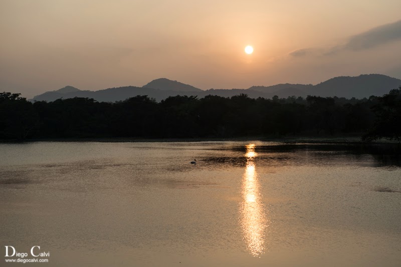 Sri Lanka, la lagrima de la India - Vuelta al Mundo - Blogs de Sri Lanka - Safari en Polonnaruwa (3)