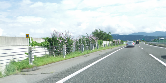 Nagano Expressway, Matsumoto area　