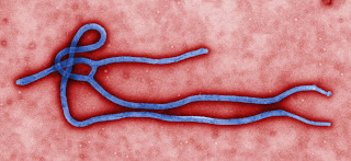 what is ebola and how it is prevented and treated 