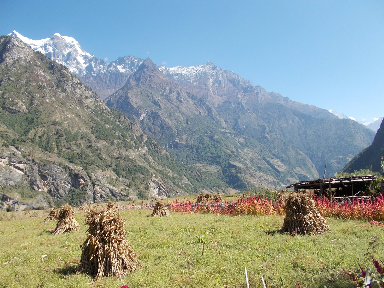 Вокруг Манаслу, долина Цум, Нар-Пу. Непал 2017.
