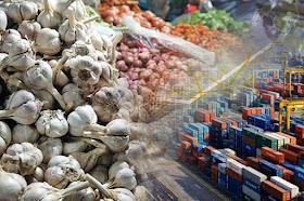 Impor Sayuran Rp11,5 Triliun, Pengamat: Janji Jokowi Setop Impor Omong Kosong