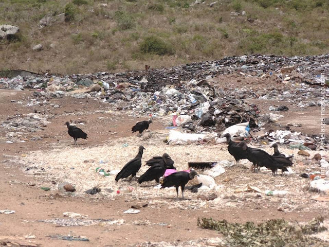 FIM DO LIXÃO DE PANELAS-PE