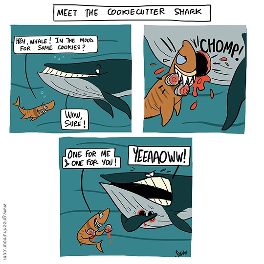 Green Humour: Meet the Cookiecutter Shark