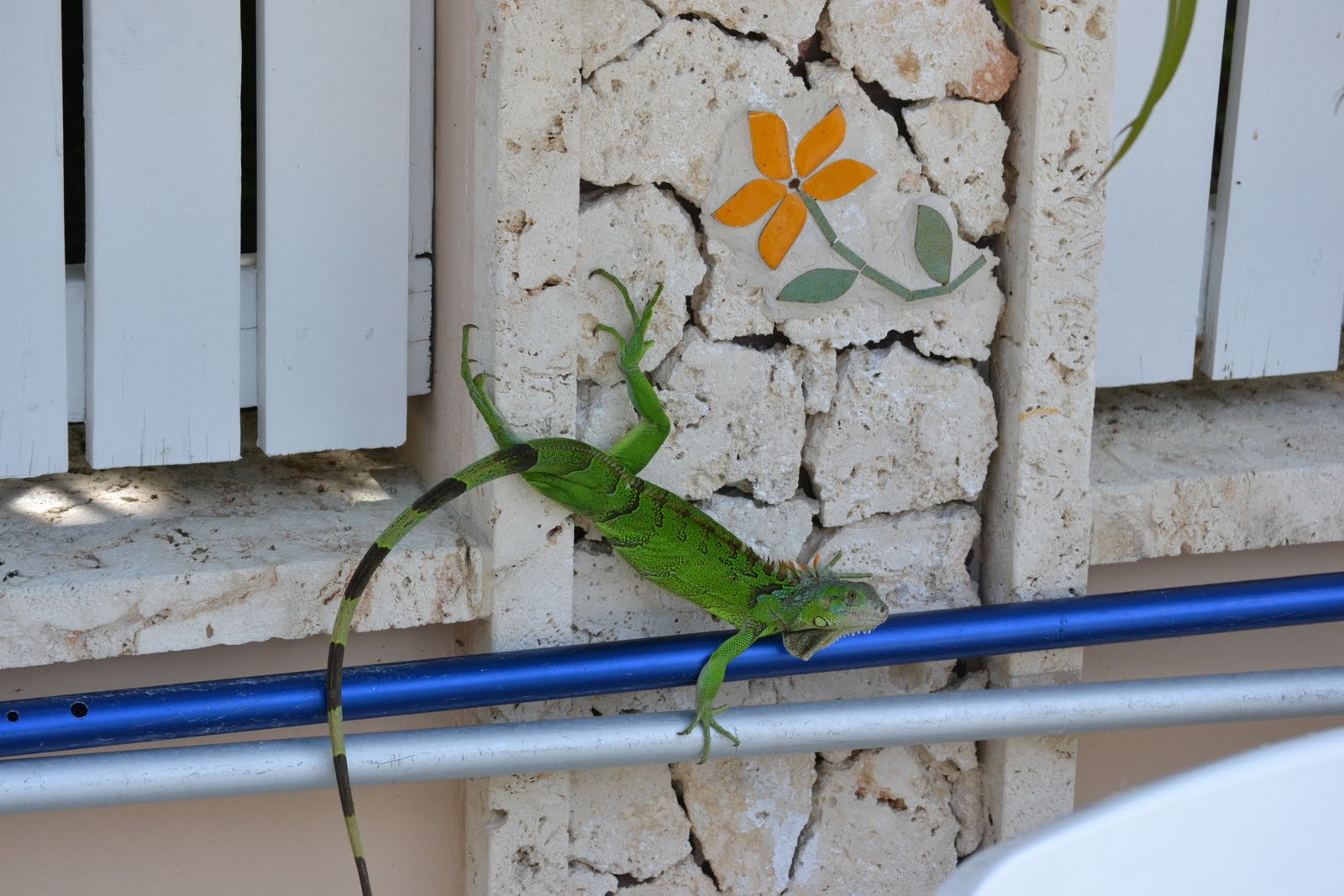 Temporada em Orlando: Key West de RV (trailer)