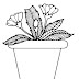 Coloring Pages Of Plants