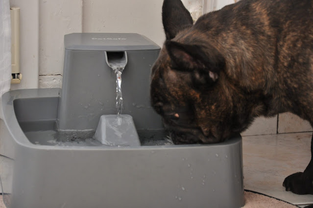 Fontaine a eau Petsafe Drinkwell