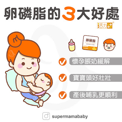 懷孕卵磷脂 哺乳卵磷脂