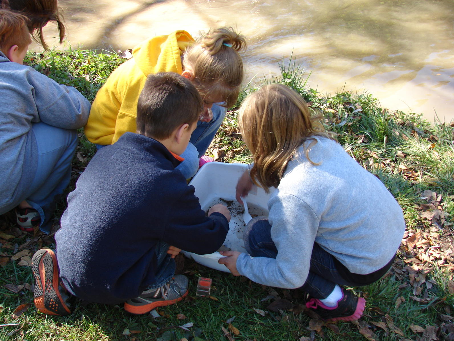 PA Environment Digest Blog Volunteers Wanted Audubon PA Learn, Restore, Explore Our Watershed