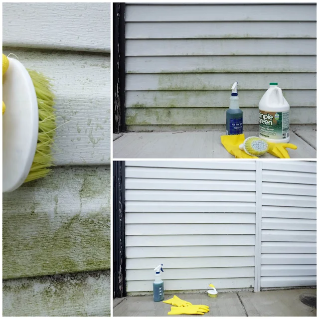 using Simple Green to clean mold off house siding