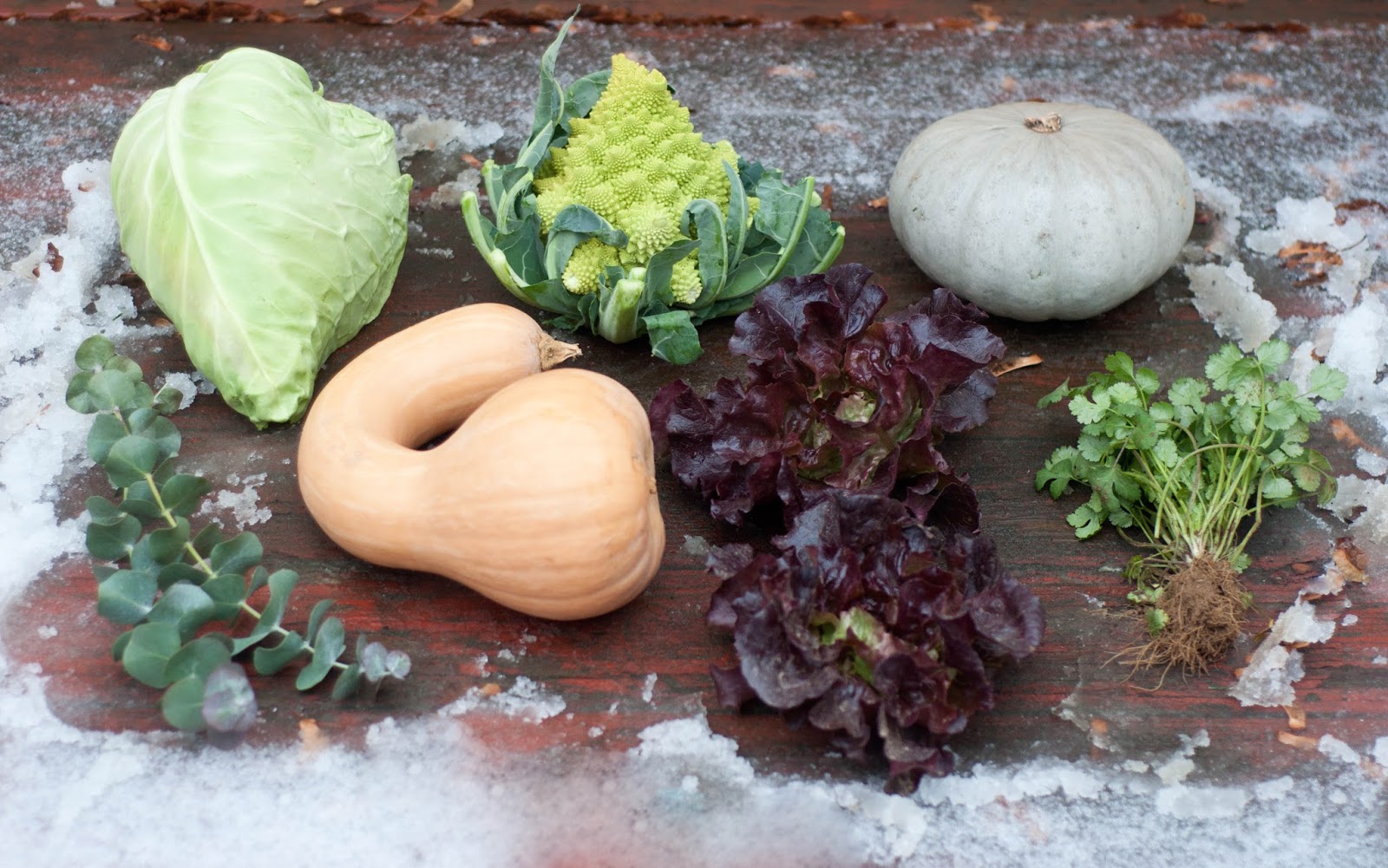 Robson's Farm November/December Vegetable Shoot