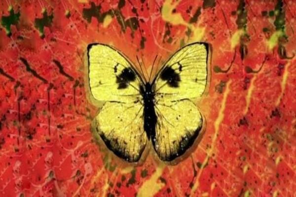 Lirik Lagu Ed Sheeran Shivers dan Terjemahan