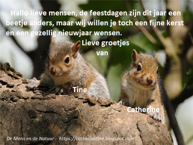De Mens en de Natuur blogspot: De dagen voor Kerstmis