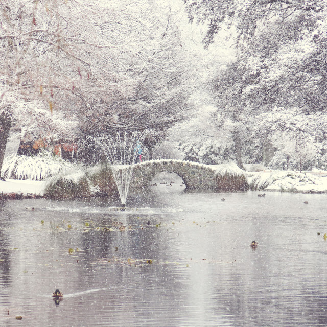 Galia Alena Queenstown Gardens Snow