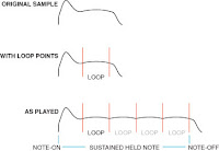 short sustain time pictures