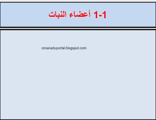 ملخص درس اعضاء النبات في العلوم للصف السابع الفصل الاول