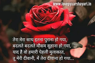 Rose day shayari hindi images