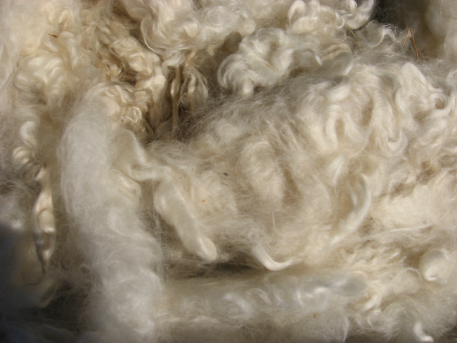 strelen bord Fantasie Hoe verf je wol vilt met uienschillen ? - Atelier de Vier Jaargetijden
