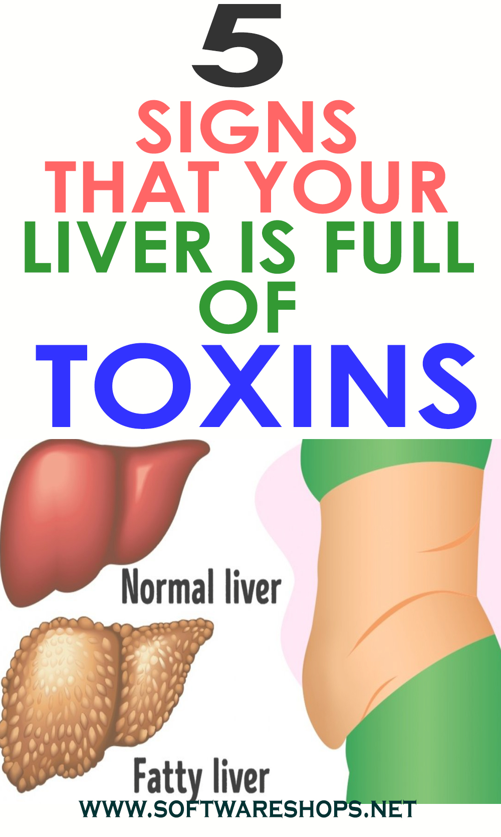 5 SIGNS THAT YOUR LIVER IS FULL OF TOXINS