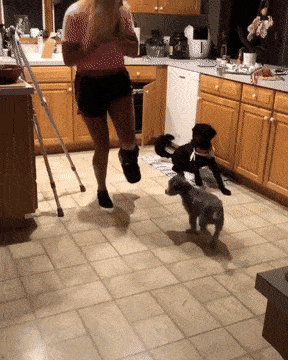 daily_gifdump_3641_32.gif