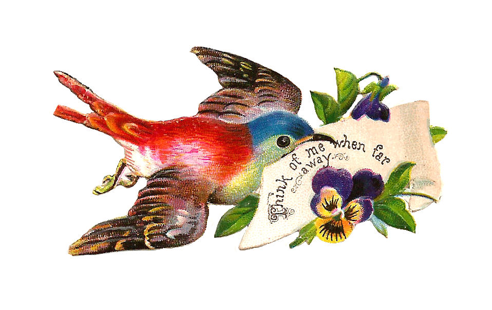 Antique Images: Free Bird Graphic: Antique Bird Clip Art from Victorian  Scraps with Purple Pansies and Sentiment