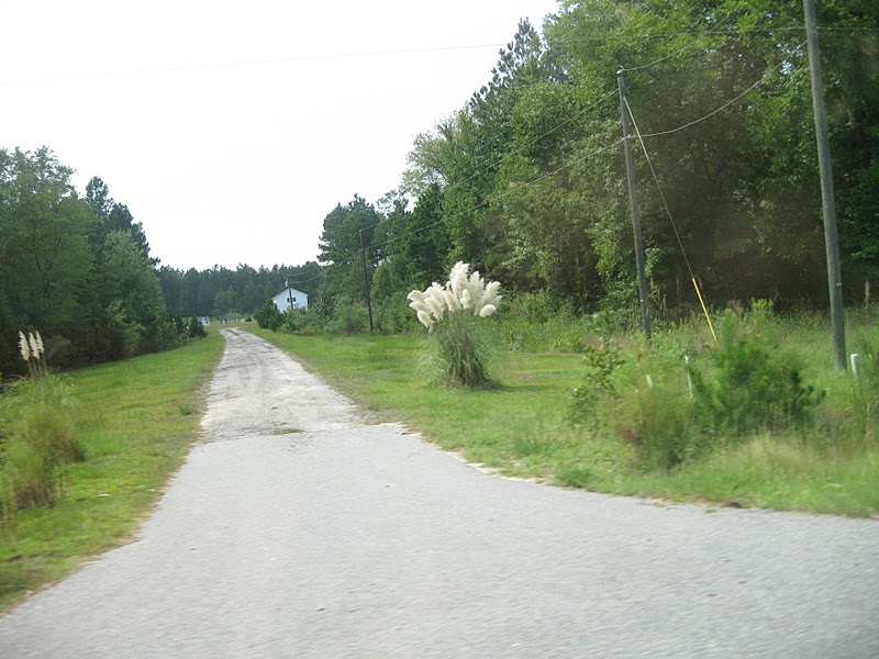 RoadhogUSABertoni Jackson Springs, NC to North Myrtle Beach, SC