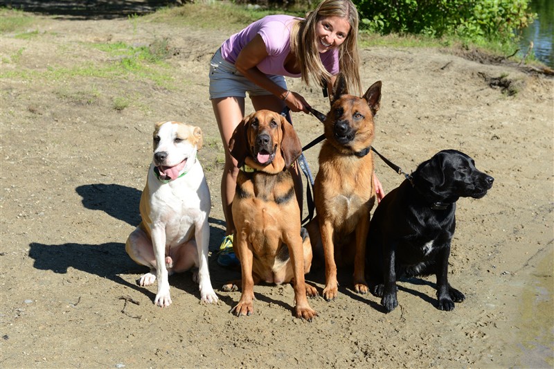 Maine Photographer Minor Moments Photography Lost Pet Tracking.Maine