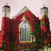 Images of Ireland: NUI Galway quad with red foliage