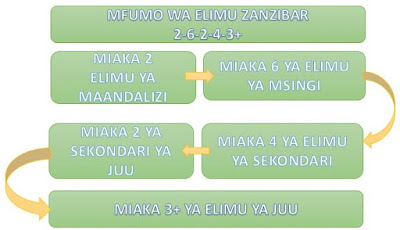 Matokeo Ya Kidato Cha Pili  2019/2020  Zanzibar - form two results 2019/2020 zanzibar