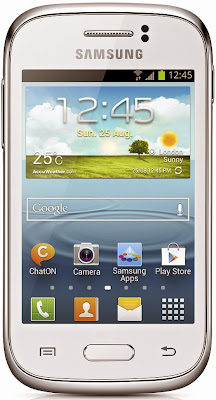 Samsung Galaxy Young (Single SIM)