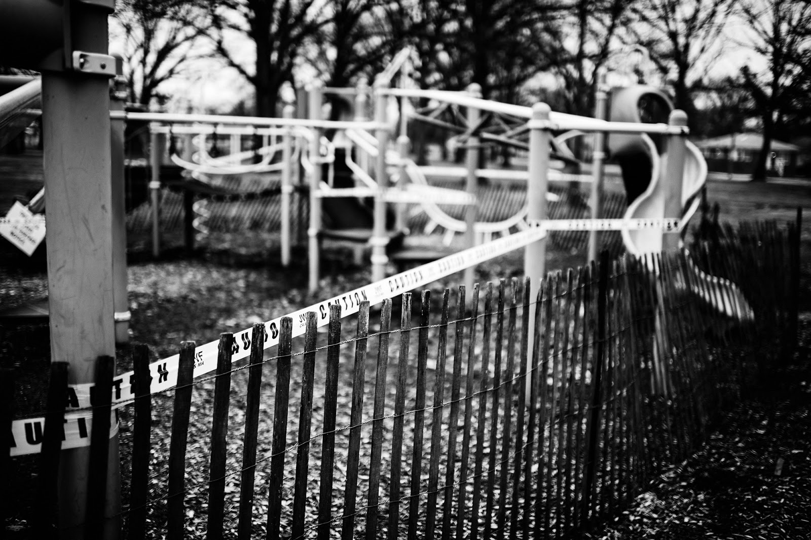 Andrew Potter Photo Blog Quarantine Martin Road Park